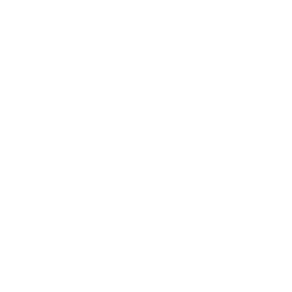 Icon Roller