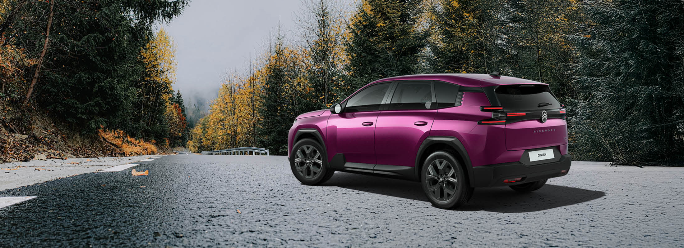 Citroën C5 Aircross auf der Waldstraße.
